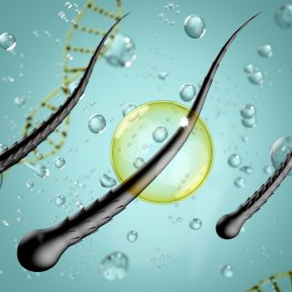 Riequilibra e nutre a fondo